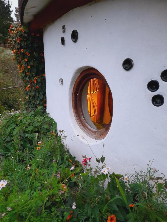 Half Moon Hollow Eco Cottage Моссел-Бей Экстерьер фото